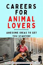 Passionate Pursuits: Exciting Careers for Animal Lovers