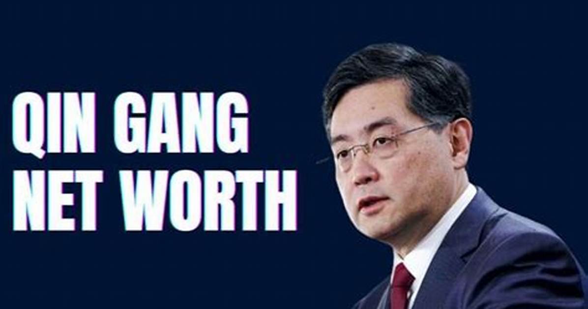 Qin Gang Net Worth – How Much Is Gang Worth?