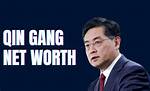 Qin Gang Net Worth – How Much Is Gang Worth?
