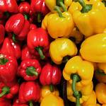 Red and Yellow Bell Peppers