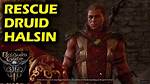 Rescue the Druid Halsin, Baldur's Gate 3 Quest