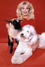 Sally Struthers: a Journey Through Fame, Passion, and Compassion