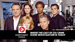 Scene of the Crime Cast Net Worth – Richest Cast Members Salary