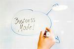 Should You Buy an Established Website?