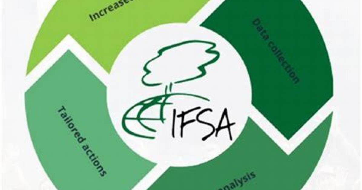 Sotwe Ifsa: Exploring Origins & Impact in the Community & Finance
