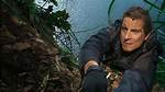 Survive Like Bear Grylls: the Man Still Thrives in the Wild