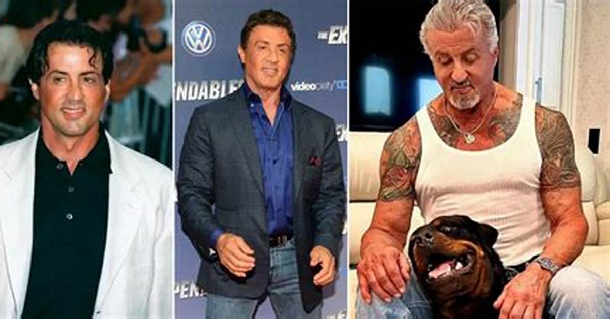 Sylvester Stallone's Net Worth: How Much Is He Worth?