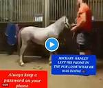 The Notorious "Michael Hanley Horse Video Mr Hands Original": a Harrowing Tale