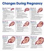 The Pregnancy Journey of Jacqui Macinnes Wood