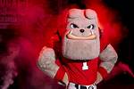 The Uga Mascot: a Symbol of Tradition and Spirit in College Football