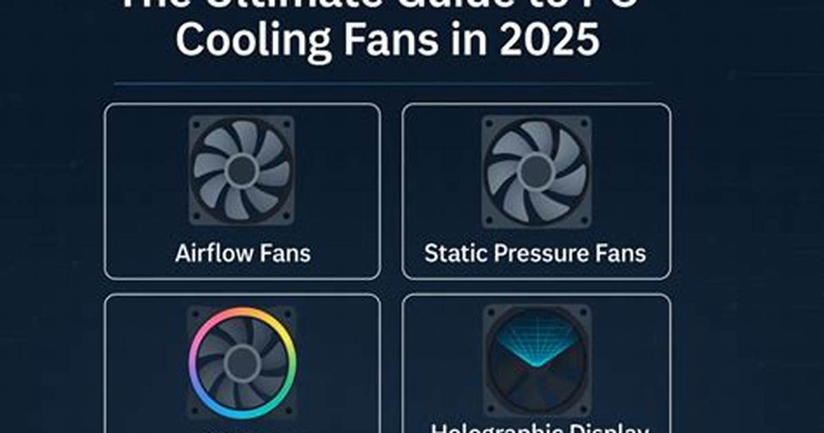The Ultimate Guide for Fans