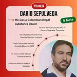 The Ultimate Guide to Dario Sepulveda's Artistic Journey