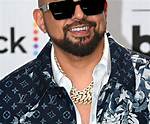 Things to Know About Sean Paul's Mother