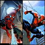Ultimate Spider-Man Vs. Sophie Rain: an Epic Battle for the Web