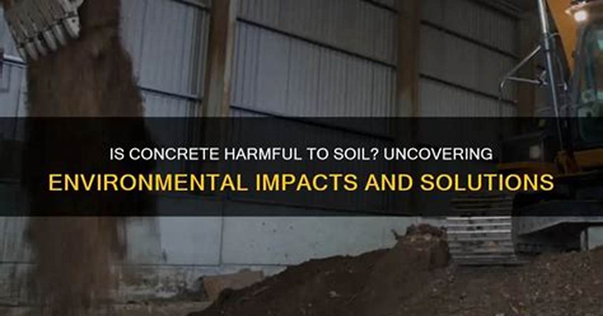 Uncovering Harmful Impacts and Empowering Solutions