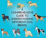Understanding Dog Breeds: a Comprehensive Guide to Choosing the Right Companion