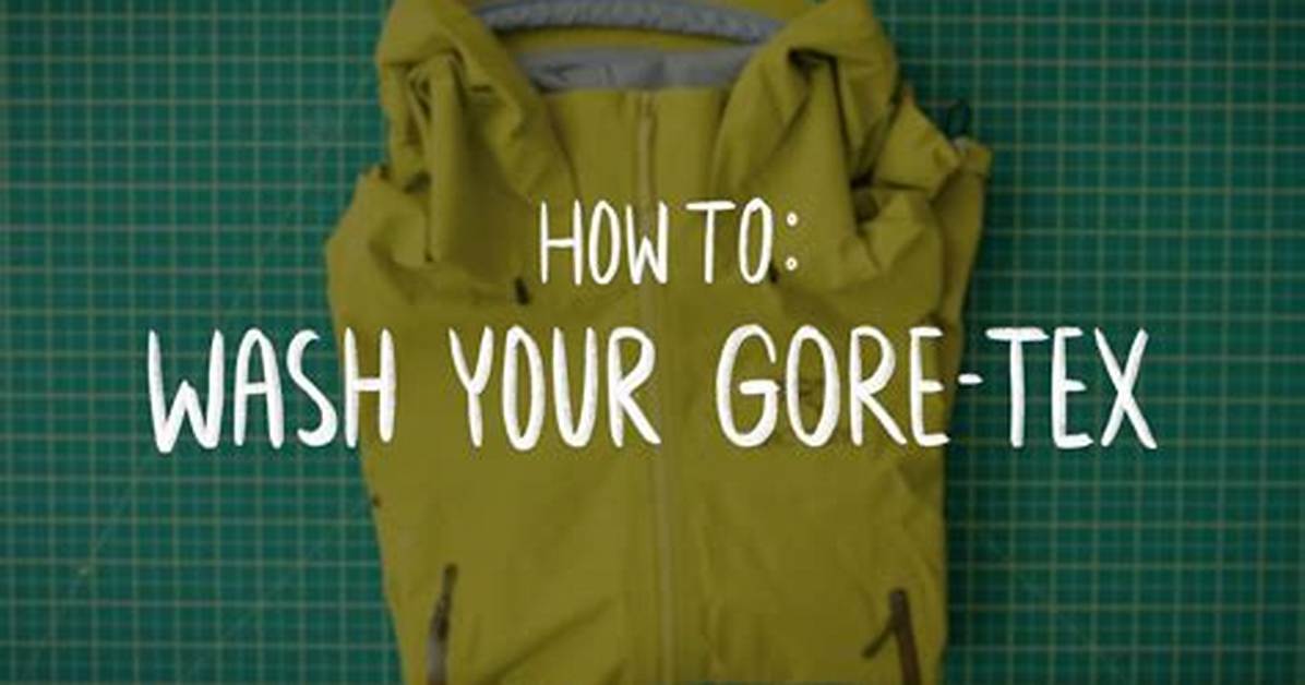 Understanding Gore Senter: the Ultimate Guide to Its Features and Benefits