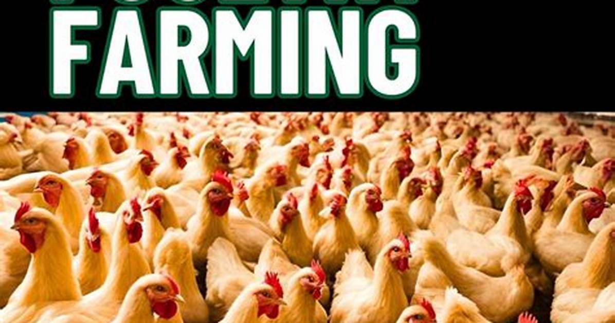 Understanding Ideal Poultry: a Comprehensive Guide to Quality Poultry Farming