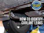 Understanding Keristeel Leaks: a Comprehensive Guide