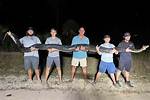 Understanding the 198 Lb Burmese Python: Facts, Care, and Conservation