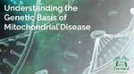 Understanding the Genetic Basis and Clinical Manifestations