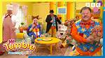 Unraveling the Mysteries: Is Mister Tumble a Pedo?