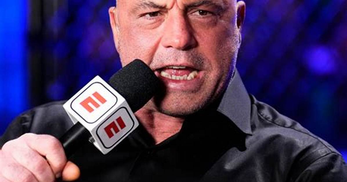 Unraveling the Mystique of Joe Rogan's Partner: a Deep Dive
