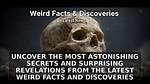 Unveiled Secrets and Surprising Revelations