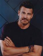 Unveiling David Boreanaz's Ethnic Background: a Journey Through Heritage
