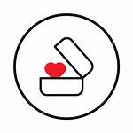 Unveiling Love, Success, and Representation