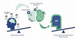 Unveiling Systemic Biases and the Path to Justice