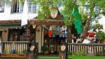 Unveiling the Charm of the Dubliner Tampa Fl: Discoveries and Delights