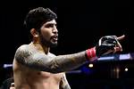 Unveiling the Complexities of Dillon Danis' Race and Its Impact