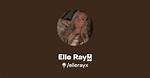 Unveiling the Elle Ray Onlyfans Leaks: a Comprehensive Exploration