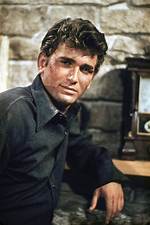 Unveiling the Extraordinary Journey of Michael Landon's Son: a Legacy Continues