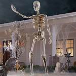 Unveiling the Fascination: the 12 Foot Skeleton Phenomenon
