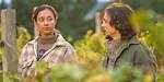 Unveiling the Future of "Under the Vines": Season 3 and Beyond