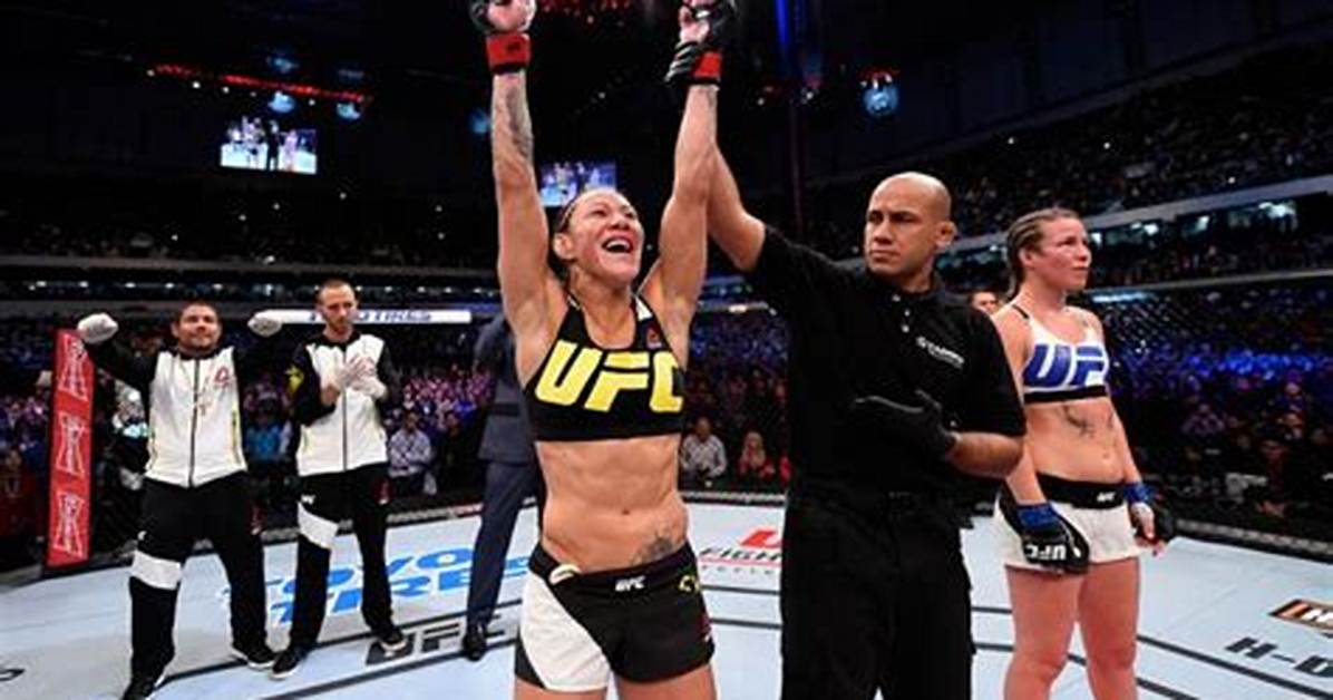 What Is Catchweight Ufc?