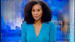 What Is Sheba Turk, Wwl Reporter's Age & Who Is Boyfriend, Revealed