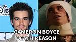 When Did Cameron Boyces Sister Pass Away?