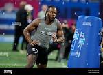 Who Is David Ugwoegbu Everything