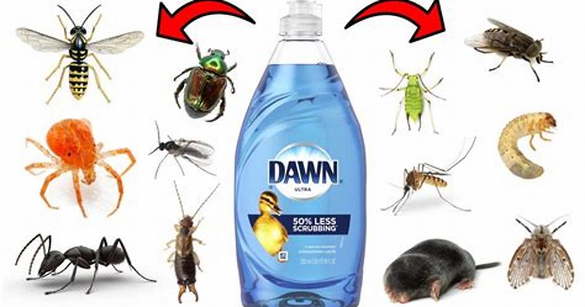 Will Dish Soap Kill Maggots?