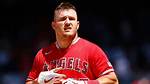 Winkdash | Salary, Income, Net Worth: Mike Trout