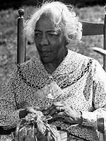 Zara Cully Net Worth |